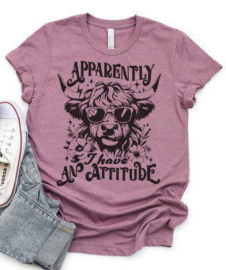 Apparently I have an Attitude Graphic Tee